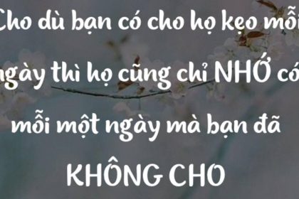 hay-la-mot-nguoi-thong-minh-qua-bai-hoc-triet-ly-vien-keo-1